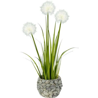 I.GE.A. - Pusteblumegras in Wasserhyazinthentopf - Weiß - 17x56 cm - Kunstpflanze I.GE.A. - Pusteblumegras in Wasserhyazinthentopf - Weiß - 17x56 cm - Kunstpflanze