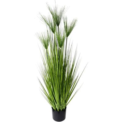 I.GE.A. Roślina Sztuczna - Zyperngras w Doniczce - 130cm I.GE.A. Roślina Sztuczna - Zyperngras w Doniczce - 130cm