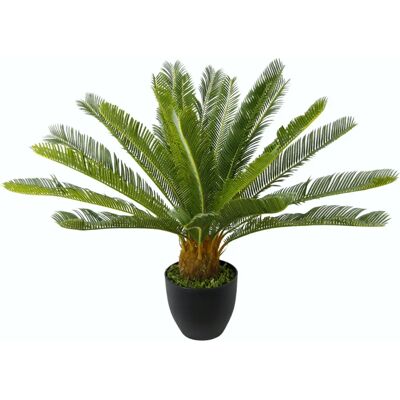 I.GE.A. Cycaspalme Sztuczna roślina - Palmy 67cm I.GE.A. Cycaspalme Sztuczna roślina - Palmy 67cm