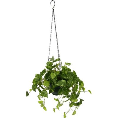 Flair Flower Artificiell Pothos Hängväxt - Dekoration Flair Flower Artificiell Pothos Hängväxt - Dekoration
