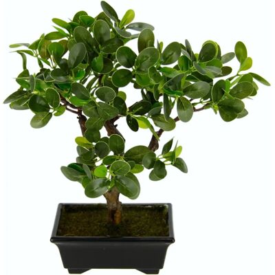 I.GE.A. Ginseng Bonsai - Realistyczny, Bez konieczności konserwacji, Dekoracja domu - Sztuczne drzewko I.GE.A. Ginseng Bonsai - Realistyczny, Bez konieczności konserwacji, Dekoracja domu - Sztuczne drzewko