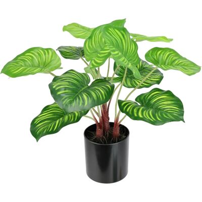 IGEA Maranthus Künstliche Pflanze - Grün - Innendekoration IGEA Maranthus Künstliche Pflanze - Grün - Innendekoration