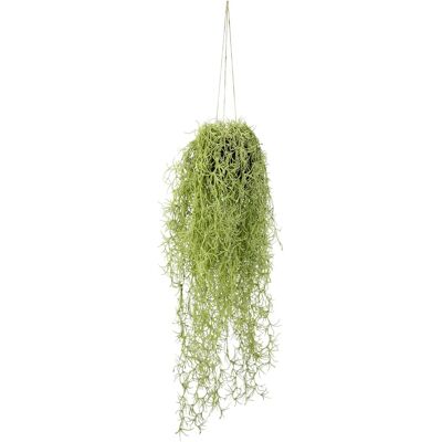 IGEA Mooshänger - Sztuczna roślina - 70cm wysokości - Dekoracja wnętrz IGEA Mooshänger - Sztuczna roślina - 70cm wysokości - Dekoracja wnętrz