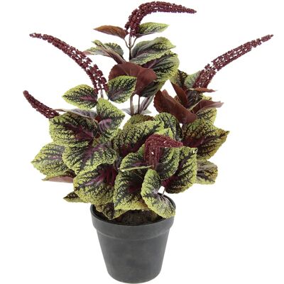 I.GE.A. Zwergpfeffer Plante Artificielle I.GE.A. Zwergpfeffer Plante Artificielle