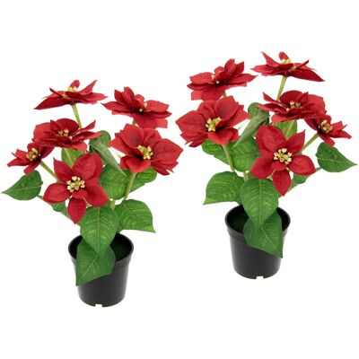 I.GE.A. - Poinsettie - Rot - 2er Set - Artificial plant I.GE.A. - Poinsettie - Rot - 2er Set - Artificial plant