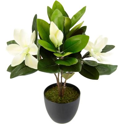 Pianta Artificiale di Magnolia IGEA - Decorazione Primaverile Pianta Artificiale di Magnolia IGEA - Decorazione Primaverile