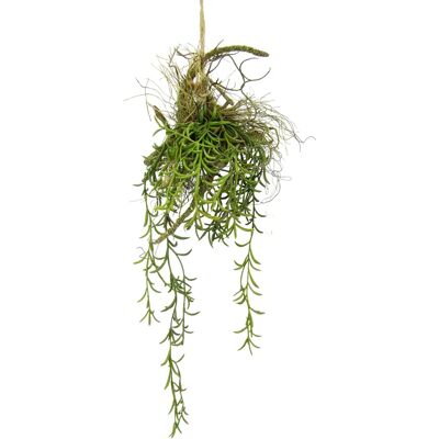 Sztuczna roślina I.GE.A. Tillandsia - Zielona - 20x72x18cm - Sztuczna roślina Sztuczna roślina I.GE.A. Tillandsia - Zielona - 20x72x18cm - Sztuczna roślina