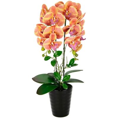 I.GE.A. Orchidee Kunstpflanze - 26x58x18 cm - Hochzeitsschmuck I.GE.A. Orchidee Kunstpflanze - 26x58x18 cm - Hochzeitsschmuck
