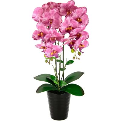 IGEA Orchidee - Realistische Kunstorchidee - Hochzeit Dekoration IGEA Orchidee - Realistische Kunstorchidee - Hochzeit Dekoration