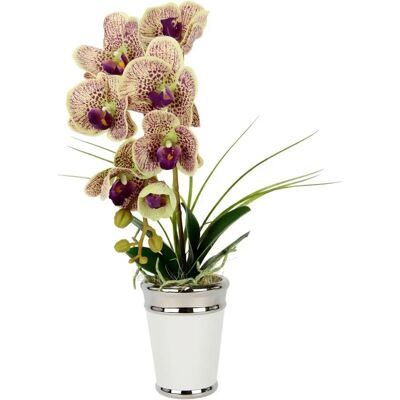 I.GE.A. Orchidee Künstliche Blume - Echt Touch, Keramiktopf I.GE.A. Orchidee Künstliche Blume - Echt Touch, Keramiktopf
