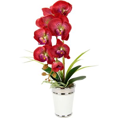 I.GE.A. - Orchidee - rot - 30x52x40 cm - Artificial Flower I.GE.A. - Orchidee - rot - 30x52x40 cm - Artificial Flower