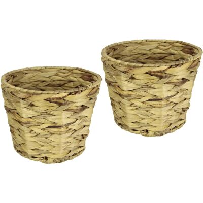 Set de macetas de agua de hyacinth I.GE.A. Set de macetas de agua de hyacinth I.GE.A.