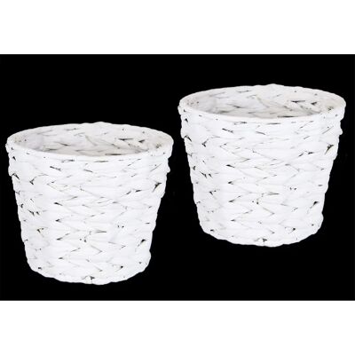 Conjunto de Maceteros de agua yacintha I.GE.A - Decoración moderna Conjunto de Maceteros de agua yacintha I.GE.A - Decoración moderna