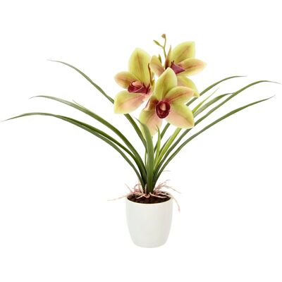 I.GE.A. - Orchidee - bunt - 26x32x16 cm - artificial plant I.GE.A. - Orchidee - bunt - 26x32x16 cm - artificial plant