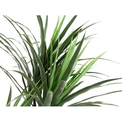 I.GE.A. - Dracaena-Palme - 40 x 120 x 40 cm - Grün - Kunstpflanze I.GE.A. - Dracaena-Palme - 40 x 120 x 40 cm - Grün - Kunstpflanze