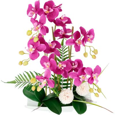 I.GE.A. - Orchideen - 35 x 52 x 24 cm I.GE.A. - Orchideen - 35 x 52 x 24 cm