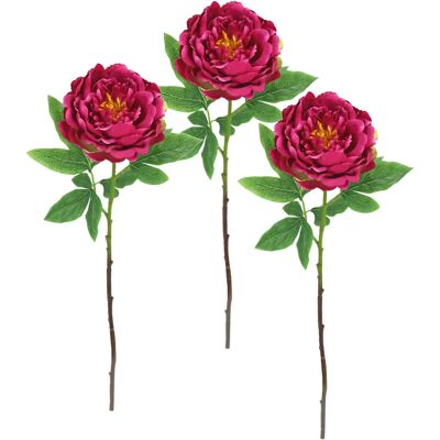 I.GE.A. - Päonie Bauernrose - Dunkelrosa - 3er Set - Kunstblume I.GE.A. - Päonie Bauernrose - Dunkelrosa - 3er Set - Kunstblume