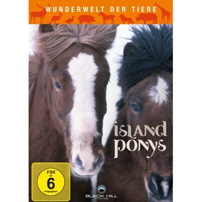 PLAION DVM010182D - Island Ponys DVD - Deutsch PLAION DVM010182D - Island Ponys DVD - Deutsch