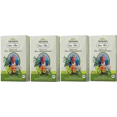 Salus Pharma GmbH 6er Tee Eva Aschenbrenner Filterbeutel Salus Pharma GmbH 6er Tee Eva Aschenbrenner Filterbeutel