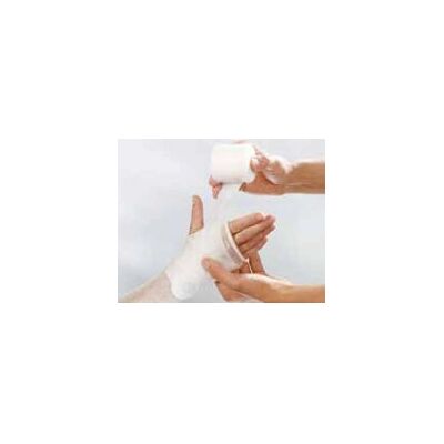 Lohmann & Rauscher Cellona Polyester Weiß - Synthetikwatte 6 cmx3 m Rolle Lohmann & Rauscher Cellona Polyester Weiß - Synthetikwatte 6 cmx3 m Rolle