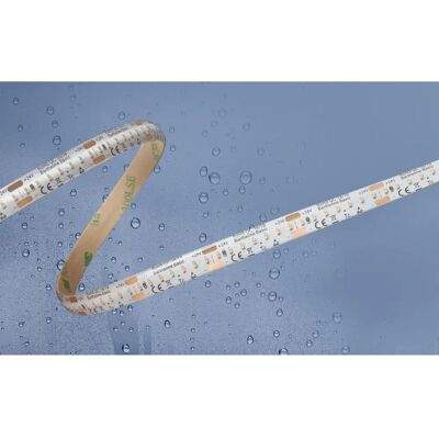 Barthelme Basic Striscia LED - 5m, IP54, Bianco Neutro, 24V/DC Barthelme Basic Striscia LED - 5m, IP54, Bianco Neutro, 24V/DC