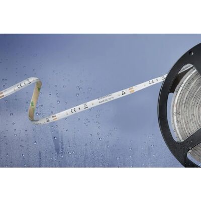 Barthelme Basic LED Streifen - Neutralweiß - 5m - IP54 - Innen/Außen Barthelme Basic LED Streifen - Neutralweiß - 5m - IP54 - Innen/Außen