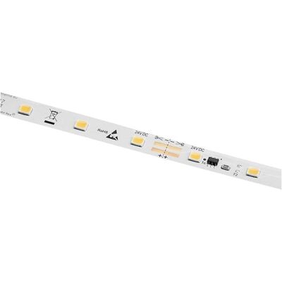 Barthelme Striscia LED - 5m, 3000K, Bianco - Interno Barthelme Striscia LED - 5m, 3000K, Bianco - Interno