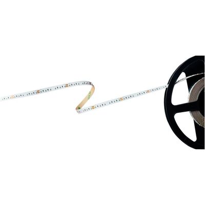 Barthelme Basic 120 LED-Streifen Rot 5m - LED-Streifen Barthelme Basic 120 LED-Streifen Rot 5m - LED-Streifen