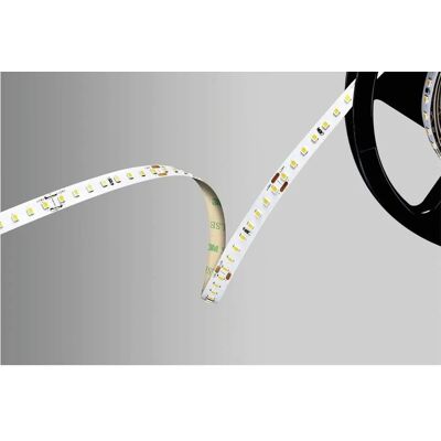 Barthelme LED Streifen - Warmweiß - 5000 mm - Indoor Barthelme LED Streifen - Warmweiß - 5000 mm - Indoor