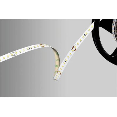 Barthelme LED Strip 51542233 - Indoor LED Light 24V 5000mm Weiss Barthelme LED Strip 51542233 - Indoor LED Light 24V 5000mm Weiss