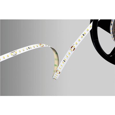 Barthelme LED Streifen - 5000 mm Kaltweiß - Innen Barthelme LED Streifen - 5000 mm Kaltweiß - Innen