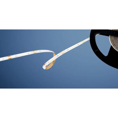 Barthelme - 51542730 - 24V - 5m Blanc - ruban LED - Publicité Barthelme - 51542730 - 24V - 5m Blanc - ruban LED - Publicité