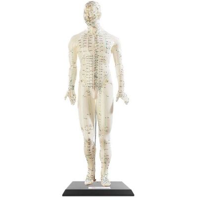 Newgen Medicals D'Acupuncture 45 Cm - Homme - Dispositif Médical - Publicité Newgen Medicals D'Acupuncture 45 Cm - Homme - Dispositif Médical - Publicité