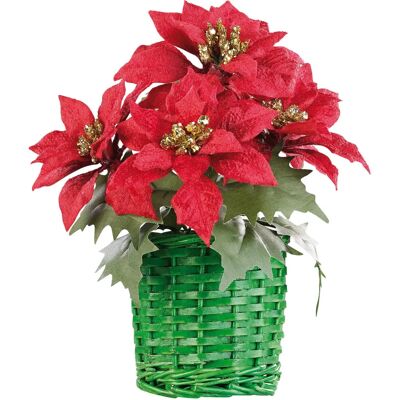 Infactory - Noel Floral - Poinsettias - Décor - Publicité Infactory - Noel Floral - Poinsettias - Décor - Publicité