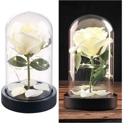 Lunartec - Rose Glass Dome LED - Blanc - Lumière décorative - Publicité Lunartec - Rose Glass Dome LED - Blanc - Lumière décorative - Publicité