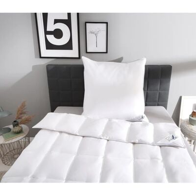 OBB Edition 120 Jahre Daunendecke - Ganzjahresbett OBB Edition 120 Jahre Daunendecke - Ganzjahresbett
