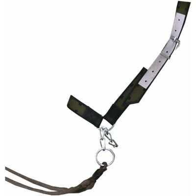 Middelwijk nylon halsband för tjur med D-ring - Halter/Nylon Halter Middelwijk nylon halsband för tjur med D-ring - Halter/Nylon Halter