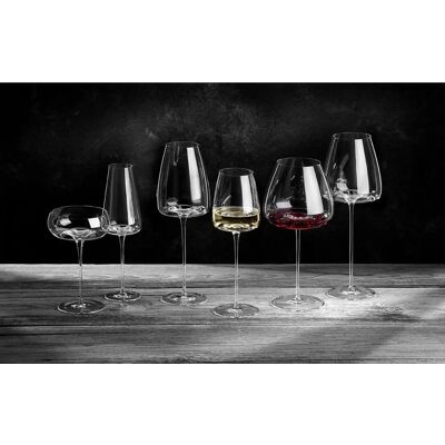 Zieher Vision Fresh hvitvinsglass 2-pack - Klar Zieher Vision Fresh hvitvinsglass 2-pack - Klar