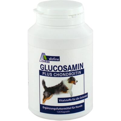 Avitale GmbH Glucosamin+Chondroitin Kapseln - Unterstützt Gelenke - 120 Stück Avitale GmbH Glucosamin+Chondroitin Kapseln - Unterstützt Gelenke - 120 Stück