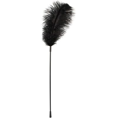 Bad Kitty Schwarze Feder - BDSM Anfänger Spiel Bad Kitty Schwarze Feder - BDSM Anfänger Spiel