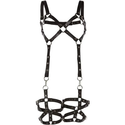 Zado Nahkaharness, jossa Irrotettavat Reisiankkurit - Harness Zado Nahkaharness, jossa Irrotettavat Reisiankkurit - Harness