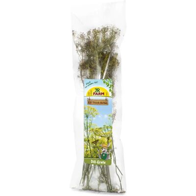 Récolte d'Aneth - Nourriture aux Herbes pour Petits Rongeurs et Lapins Récolte d'Aneth - Nourriture aux Herbes pour Petits Rongeurs et Lapins