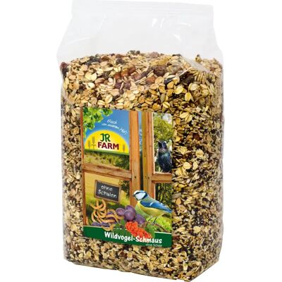 JR Farm - JR Garden Wildvogel-Schmaus ohne Schale - Nourriture pour oiseaux JR Farm - JR Garden Wildvogel-Schmaus ohne Schale - Nourriture pour oiseaux