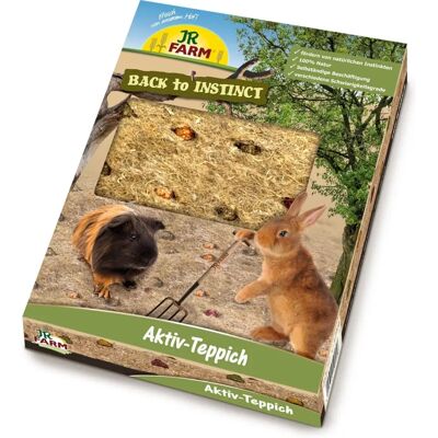 JR Farm Back to Instinct Smådyr Aktivitetsmatte JR Farm Back to Instinct Smådyr Aktivitetsmatte