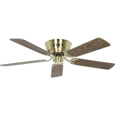 CasaFan Flat III Deckenventilator - Messing gebürstet, antike Eiche / Buche, 132cm CasaFan Flat III Deckenventilator - Messing gebürstet, antike Eiche / Buche, 132cm