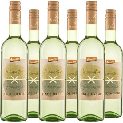 X La Mia Natura Pinot Grigio Demeter 2023 - Weißwein X La Mia Natura Pinot Grigio Demeter 2023 - Weißwein
