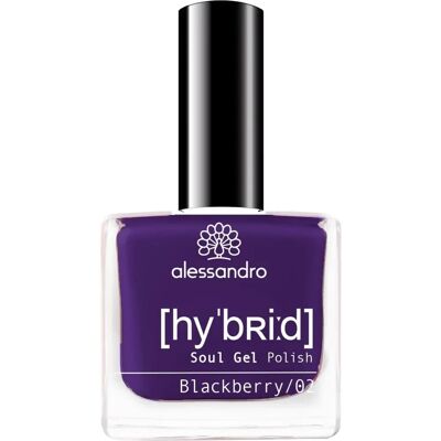 Alessandro Blackberry Hybride Nagellak - 10 Dagen Draagkracht Alessandro Blackberry Hybride Nagellak - 10 Dagen Draagkracht
