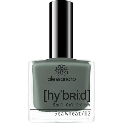 Alessandro Sea Wheat - Vernis hybride Alessandro Sea Wheat - Vernis hybride