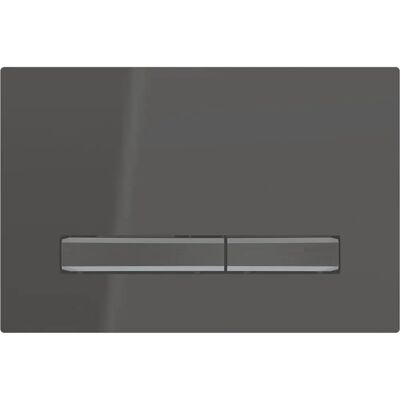Placa de doble descarga Geberit Sigma 50 - Repuesto para inodoro Placa de doble descarga Geberit Sigma 50 - Repuesto para inodoro