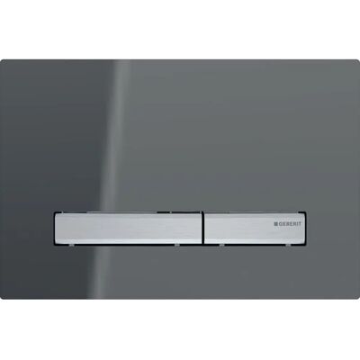 Geberit 115.788.JK.2 Placa de Doble Flushing - Repuesto para Inodoro Geberit 115.788.JK.2 Placa de Doble Flushing - Repuesto para Inodoro